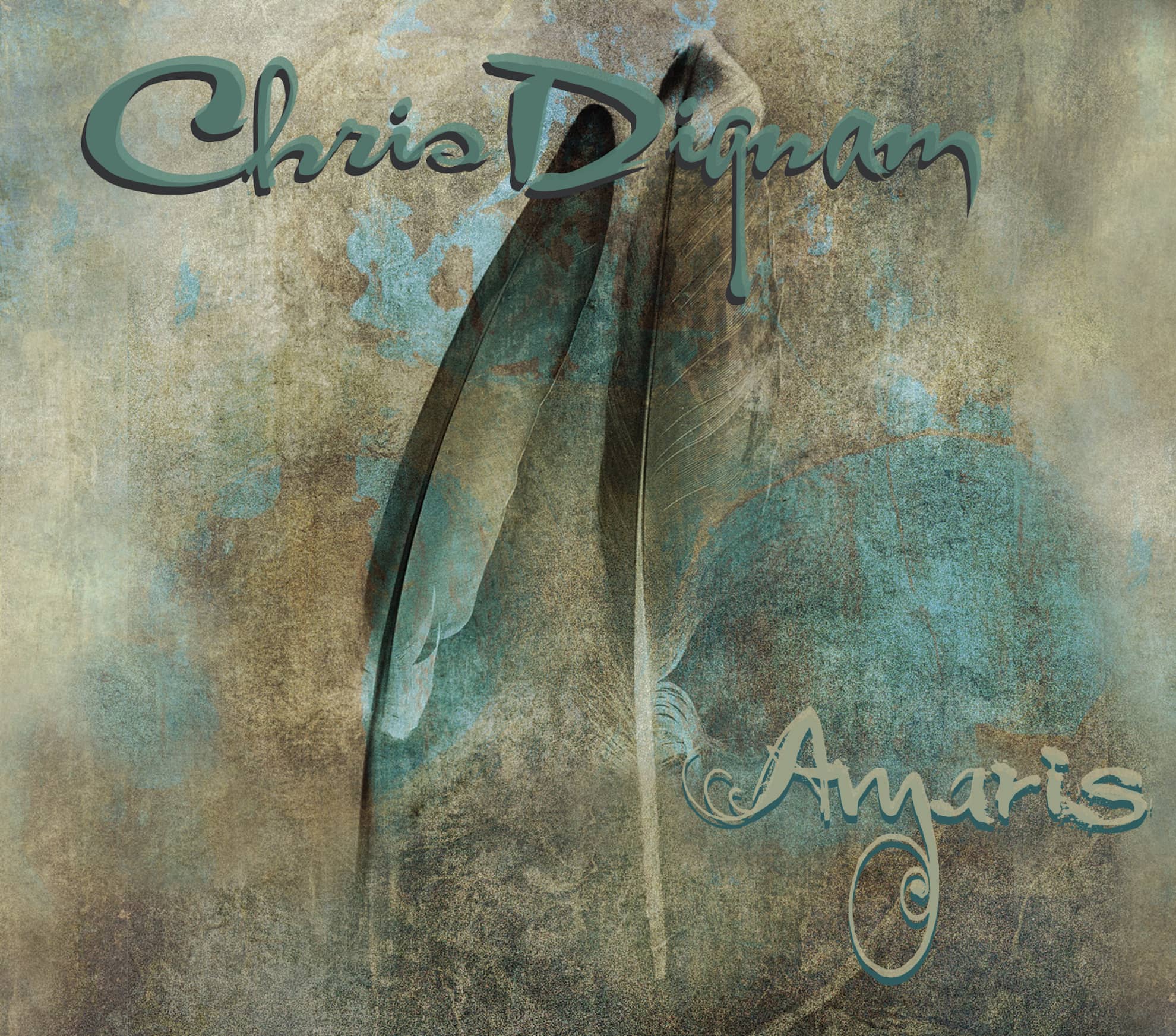 Chris Dignam - Amaris