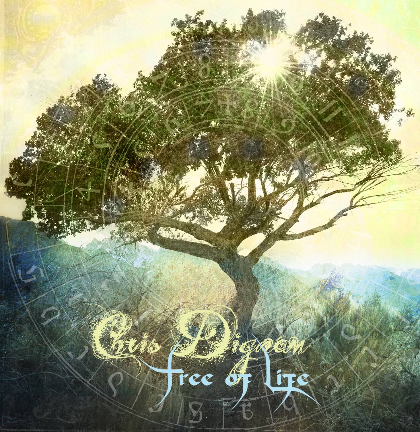 Tree of Life Cover - Chris Dignam